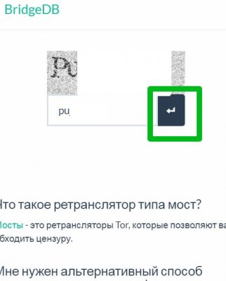 Kraken рабочий